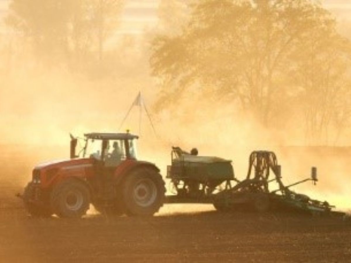 hububat, tahıl, tahılda ilaçlama, tahıl hastalıkları, buğday, arpa, çavdar, buğday hastalıkları, yulaf hastalıkları